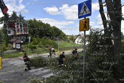 Skutki wichury na Pomorzu.  Raduń na Kaszubach, gmina...