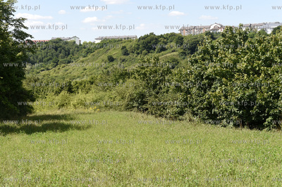 Panorama Gdańska Oruni, widok na Orunie Górną z...