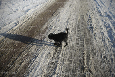 Kuznica.  14.01.2010 fot. Krzysztof Mystkowski / KFP