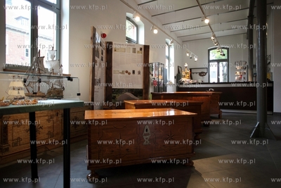 Muzeum Zuławskie w Zuławskim Parku Historycznym w...