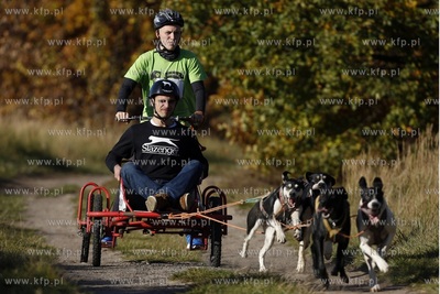 Gdańsk. Park Reagana. Pucharu Polski Psich Zaprzęgów...