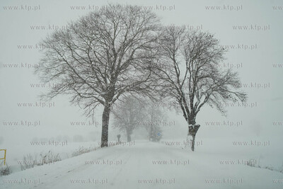 Zima na Żuławach.  Zaśniezone drogi. 16.01.2021...