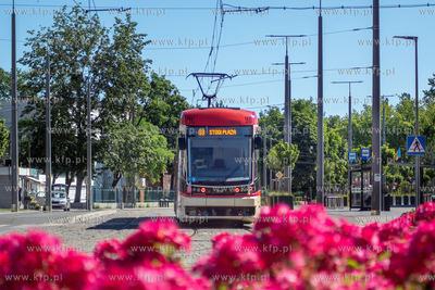 Tramwaj Pesa Jazz Duo na Stogach na ul. Stryjewskiego....