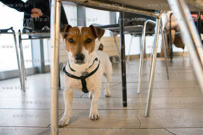 Gdańsk, Budynek Krewetka. Nowy Punkt Informacyjny...