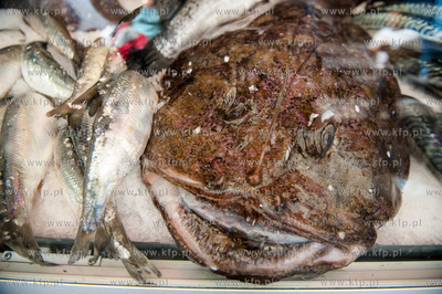 Gdansk. Targ Rybny. Jarmark Dominikanski. Norweski...