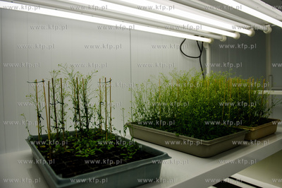 Gdansk. Otwarcie Instytutu Biotechnologii Uniwersytetu...