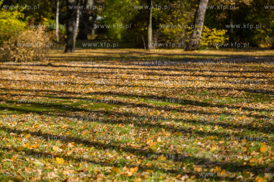 Gdańsk. Jesien w Parku Steffensa.
30.10.2016
fot....