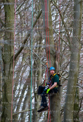 Mistrzostwa Polski we Wspinaczce Drzewnej w Dolinie...