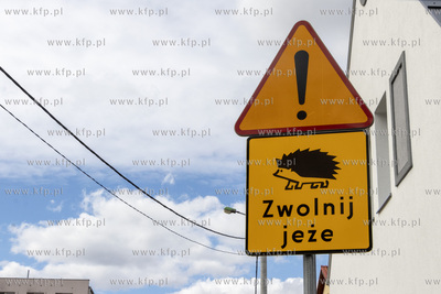 Znaki ostrzegawcze Zwolnij jeże na ulicy Ogrodowej...