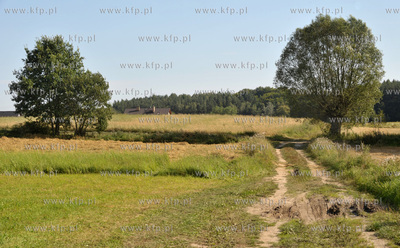 Sulmin, wies na Kaszubach. Polna droga dochodzaca do...