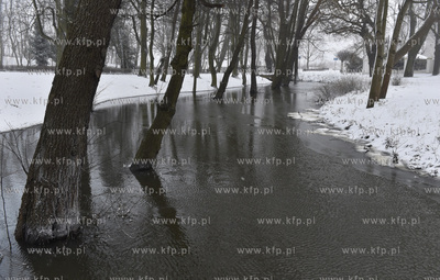 Park Jelitkowski w Gdańsku Jelitkowie. Podniesiony...
