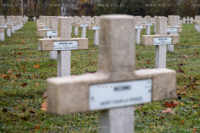 Wojskowy Cmentarz Francuski w Gdańsku. Uroczystości...