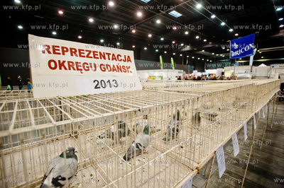 Gdansk. Gdansk. Amber Expo. 8. Miedzynarodowe Targi...