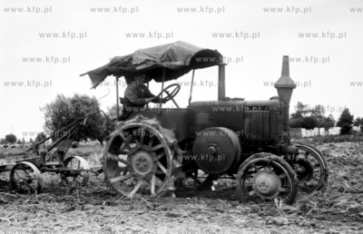 Prace polowe na Zulawach. 1950
z0006461
Fot. Zbigniew...