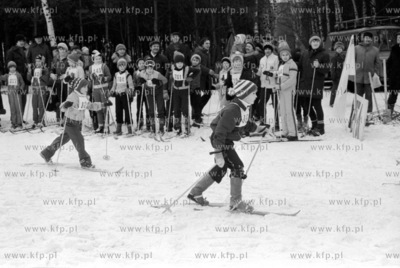 Biegi narciarskie Szlakiem Morenowych Wzgórz na terenie...