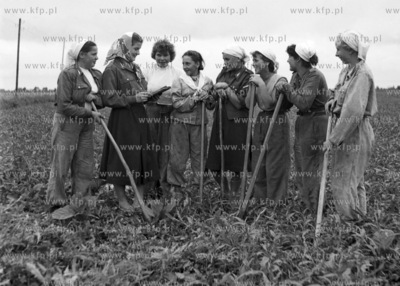 Planowanie prac polowych. (lata50). 1958 0005319z Fot....