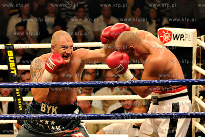 Wielka Gala Boksu Zawodowego - Wojak Boxing Night w...