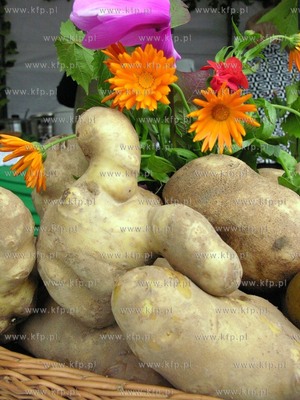 Karzniczka k/Slupska VI Swieto Ziemniaka. 11.10.2009...