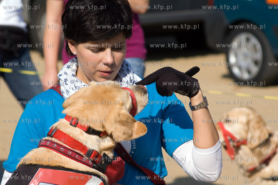 Gdynia - 	Kolibki Adventure Park. Festyn edukacyjny...