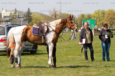 Drugi dzien Wszechstronnego Konkursu Konia Wierzchowego...