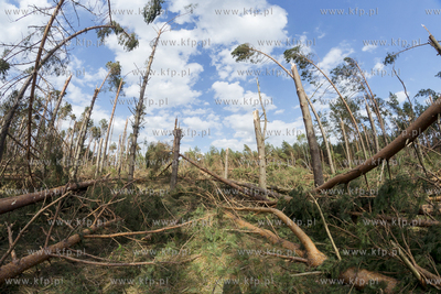 Skutki nawałnicy, która z piątku na sobotę przeszła...