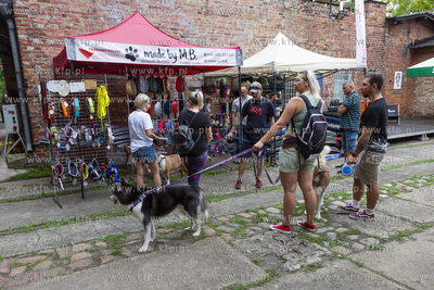 "Cukroteka na 4 łapy" w Pruszczu Gdańskim.
26.08.2023
fot....