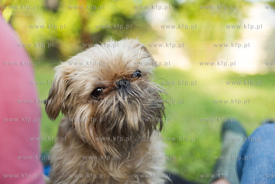 Gdańsk. Festiwal teatrów Ulicznych FETA. Hendrick-Jan...