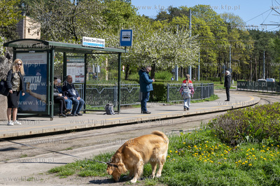 Gdańsk Brzeźno. Park Brzeźnieński im. Jana Jerzego...
