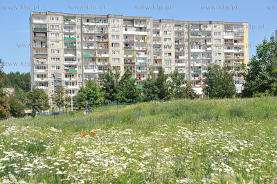 Bloki na Morenie w okolicy ul. Wyrobka i Żylewicza....