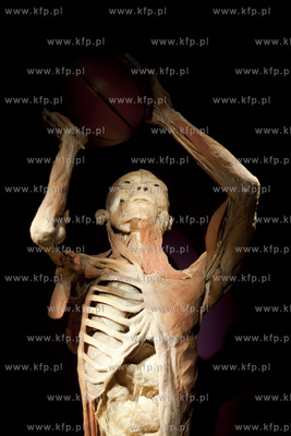 Wystawa o ciele ludzkim Human Body.
30.04.2013
fot....