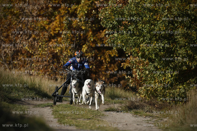 Gdańsk. Park Reagana. Pucharu Polski Psich Zaprzęgów...