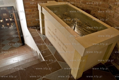 Krypta Biskupów w Katedrze Oliwskiej.
03.11.2016
fot....