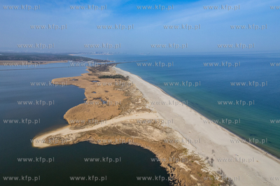 Wyspa Sobieszewska.
01.04.2024
fot. Krzysztof Mystkowski...