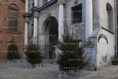 Tymczasowy, na czas remontu,  płot zniknął i odsłonił...