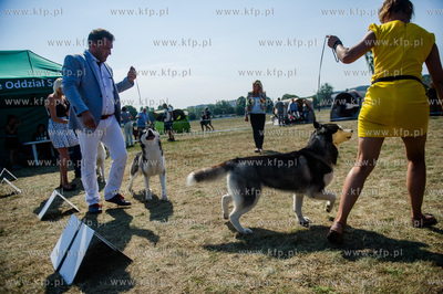 Sopot. Hipodrom. Miedzynarodowa Wystawa Psow Rasowych.
23.08.2015
fot....