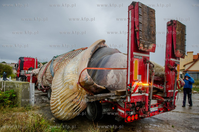 Port Wojenny na Helu. Akcja podnoszenia i transportu,...