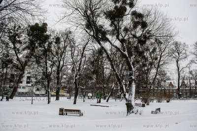 Gdańsk. Wrzeszcz. Park Uphagena.  08.02.2017 fot....