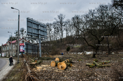 Gdańsk. Wycięte drzewa na jednej z działek przy...