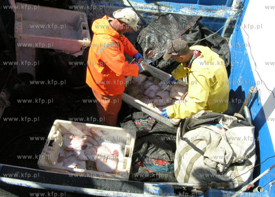 Port w Rowach. Nz rybacy sprzedaja ryby wprost z kutra.
02.05.2009
Fot....