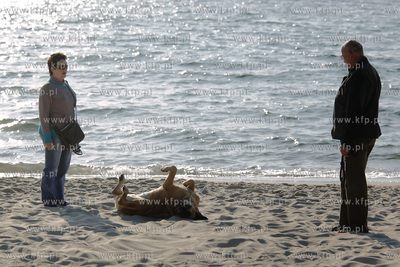 Hel po sezonie, spacer na plazy z psem. 27.09.2009...