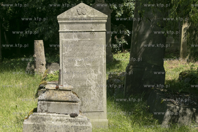 Największy w Polsce, wpisany w 1988 roku do rejestru...