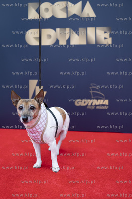 46. Festiwal Polskich Filmów Fabularnych w Gdyni....