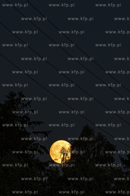 Dobrzewino. Superksiężyc - pełnia księzyca, lipiec...