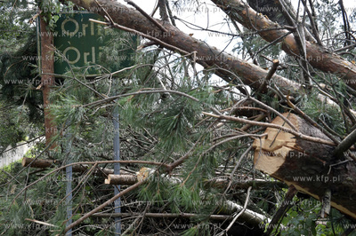 Skutki wichury na Pomorzu. Orlik na Kaszubach w gminie...