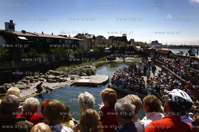 Hel. Fokarium.
27.06.2009
fot. Krzysztof Mystkowski...