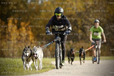 Gdańsk. Park Reagana. Pucharu Polski Psich Zaprzęgów...