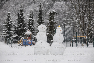 Sopot Brodwino. Zima. 11.01.2025 fot. Krzysztof Mystkowski...