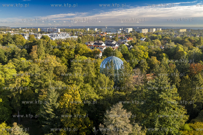 Palmiarnia w Parku Oliwskim. 01.10.2024 fot. Paweł...