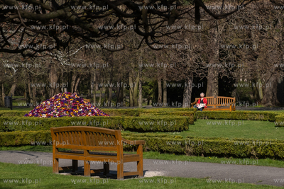 Wiosna w Parku Oliwskim. 15.04.2025 / fot. Anna Rezulak...