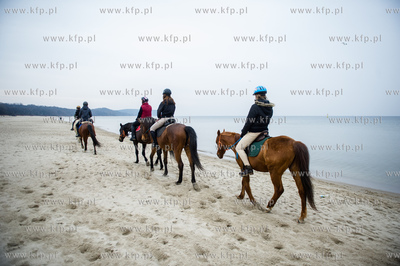 Sobotnia przejazdzka konna po plazy w Sopocie.
07.03.2015
fot....